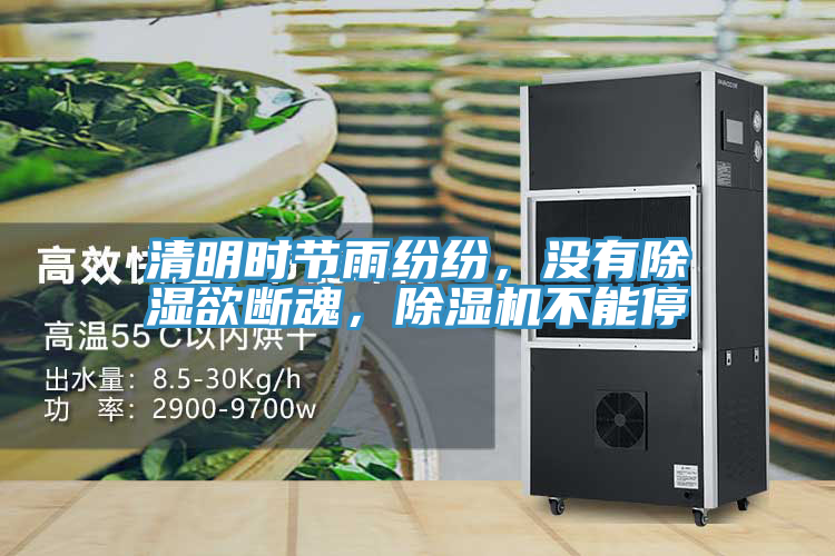 清明時節雨紛紛，沒有除濕欲斷魂，香蕉视频国产不能停