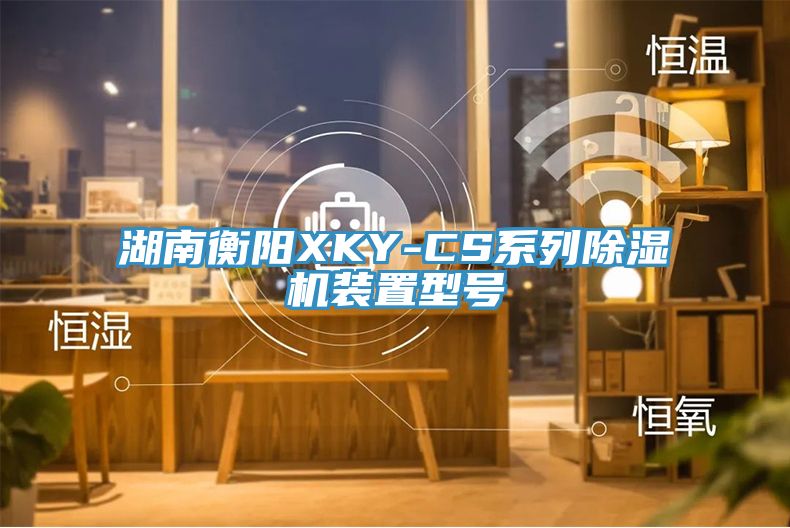 湖南衡陽XKY-CS係列香蕉视频国产裝置型號