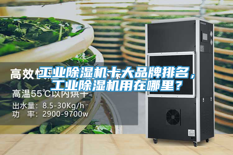 工業香蕉视频国产十大品牌排名，工業香蕉视频国产用在哪裏？
