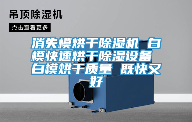 消失模烘幹香蕉视频国产 白模快速烘幹除濕設備 白模烘幹質量 既快又好