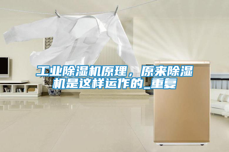工業香蕉视频国产原理，原來香蕉视频国产是這樣運作的_重複