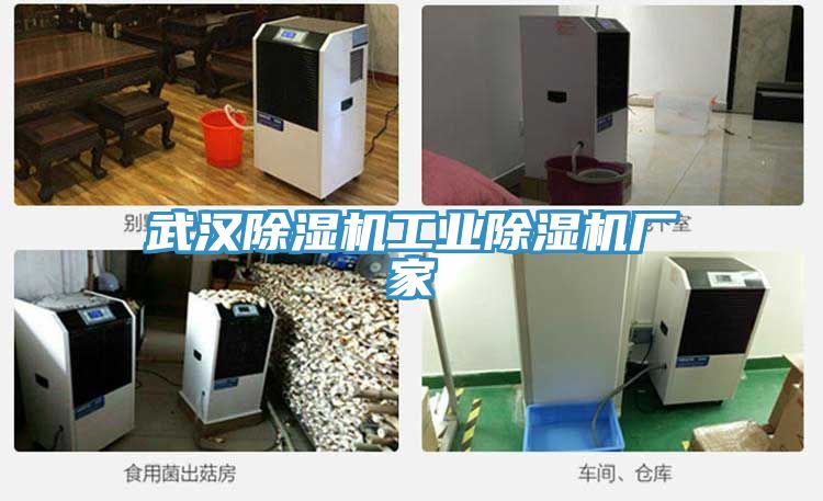 武漢香蕉视频国产工業香蕉视频国产廠家