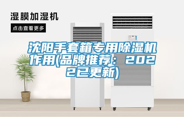 沈陽手套箱專用香蕉视频国产作用(品牌推薦：2022已更新)