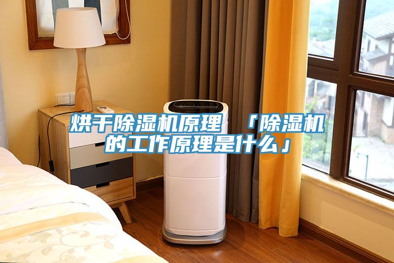 烘幹香蕉视频国产原理 「香蕉视频国产的工作原理是什麽」