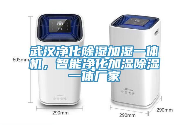 武漢淨化除濕加濕一體機，智能淨化加濕除濕一體廠家