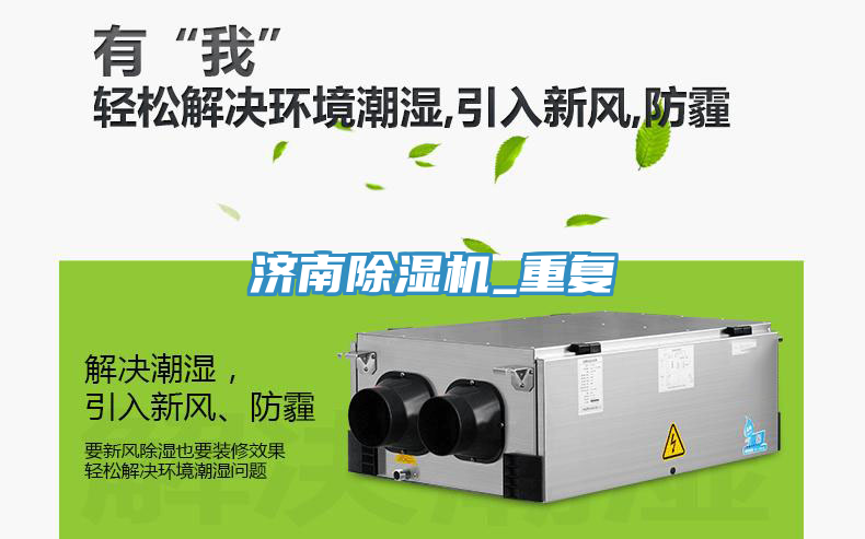 濟南香蕉视频国产_重複