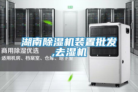 湖南香蕉视频国产裝置批發,去濕機