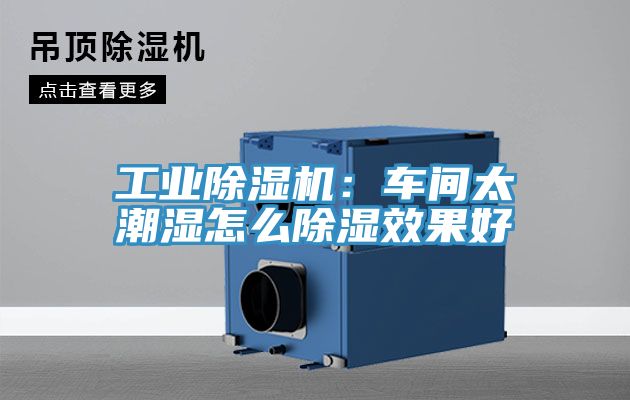 工業香蕉视频国产：車間太潮濕怎麽除濕效果好