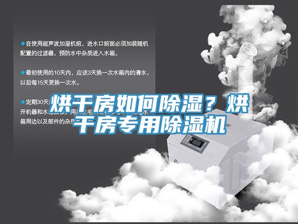 烘幹房如何除濕？烘幹房專用香蕉视频国产