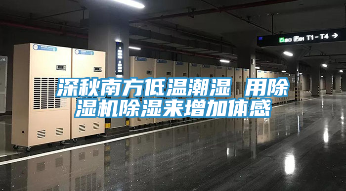 深秋南方低溫潮濕 用香蕉视频国产除濕來增加體感