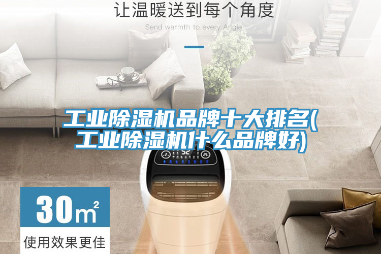工業香蕉视频国产品牌十大排名(工業香蕉视频国产什麽品牌好)