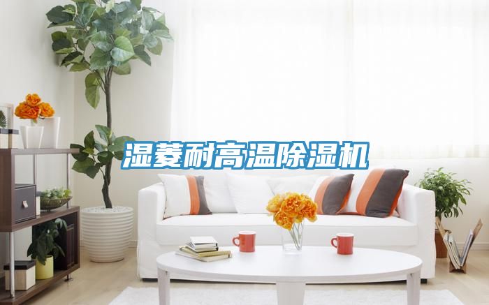 濕菱耐高溫香蕉视频国产