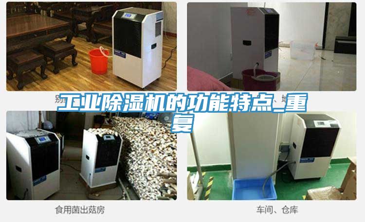 工業香蕉视频国产的功能特點_重複