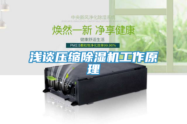 淺談壓縮香蕉视频国产工作原理