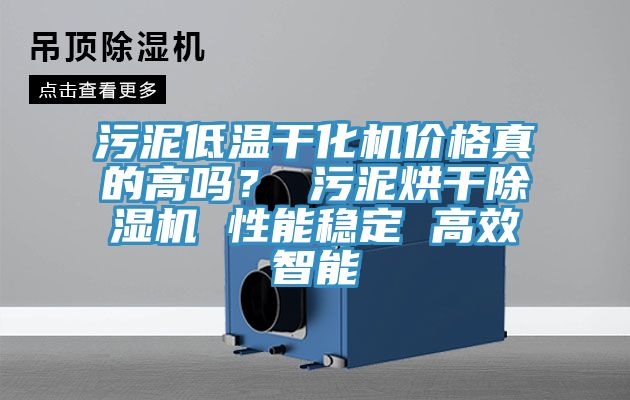 汙泥低溫幹化機價格真的高嗎？ 汙泥烘幹香蕉视频国产 性能穩定 高效智能