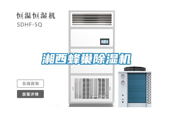 湘西蜂巢香蕉视频国产