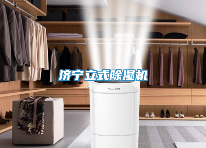 濟寧立式香蕉视频国产