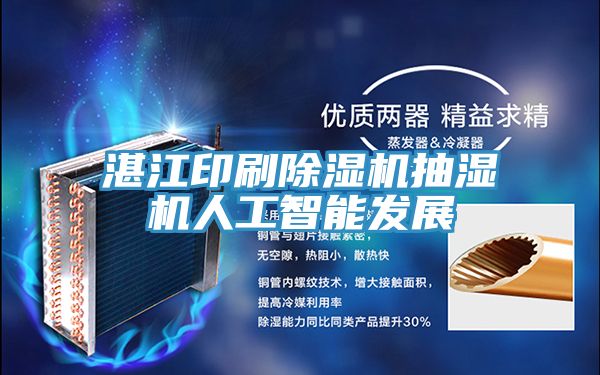 湛江印刷香蕉视频国产抽濕機人工智能發展