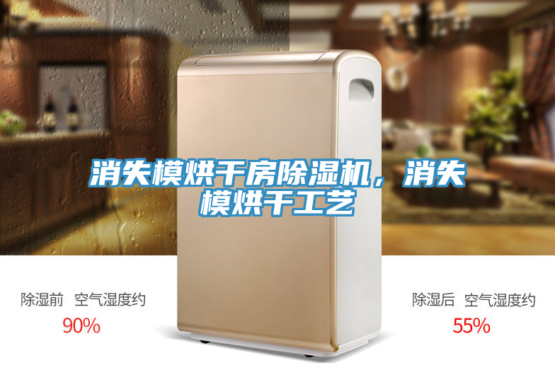 消失模烘幹房香蕉视频国产，消失模烘幹工藝