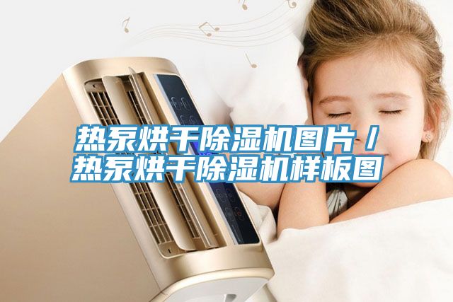 熱泵烘幹香蕉视频国产圖片／熱泵烘幹香蕉视频国产樣板圖