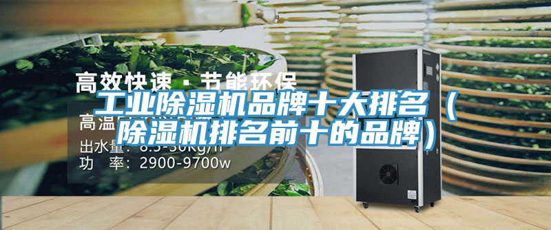 工業香蕉视频国产品牌十大排名（香蕉视频国产排名前十的品牌）
