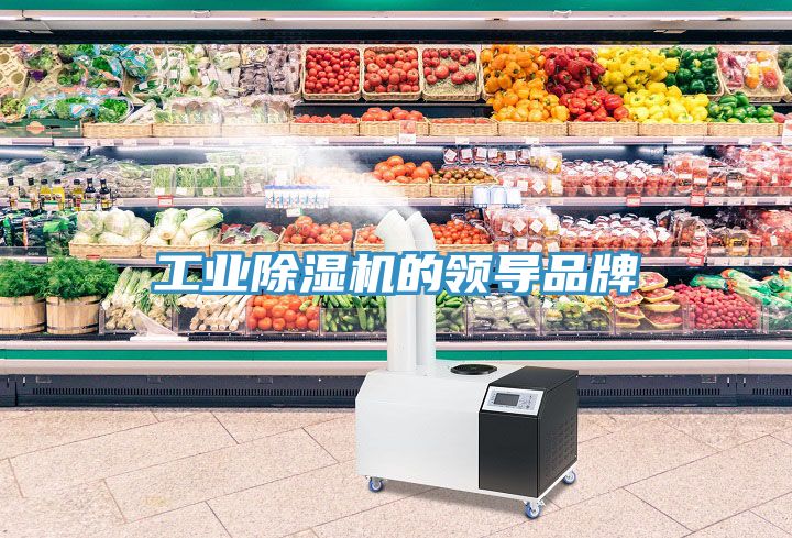工業香蕉视频国产的領導品牌