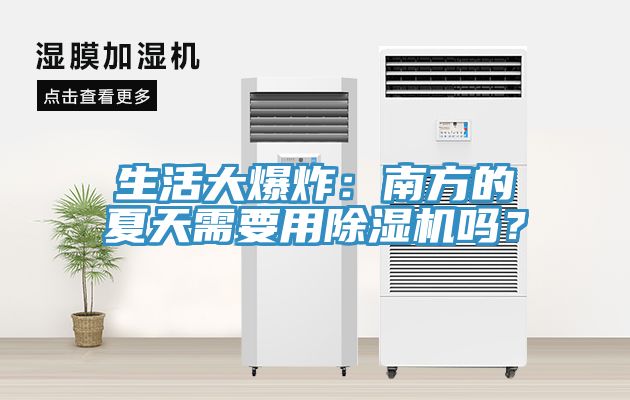 生活大爆炸：南方的夏天需要用香蕉视频国产嗎？