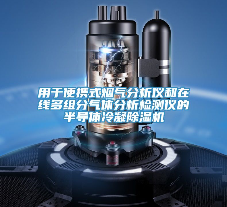 用於便攜式煙氣分析儀和在線多組分氣體分析檢測儀的半導體冷凝香蕉视频国产
