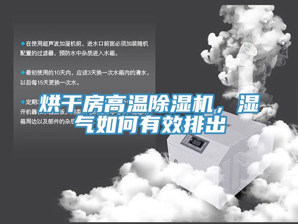 烘幹房高溫香蕉视频国产，濕氣如何有效排出