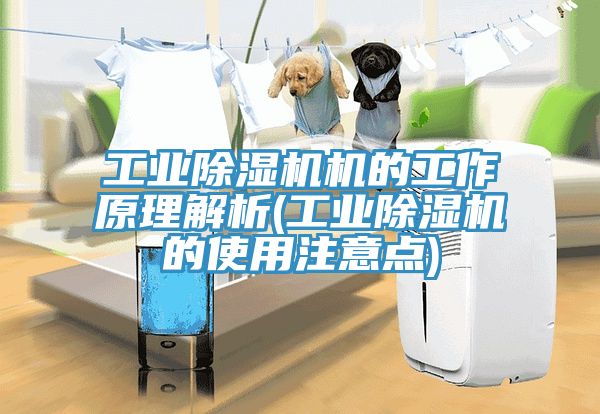 工業香蕉视频国产機的工作原理解析(工業香蕉视频国产的使用注意點)