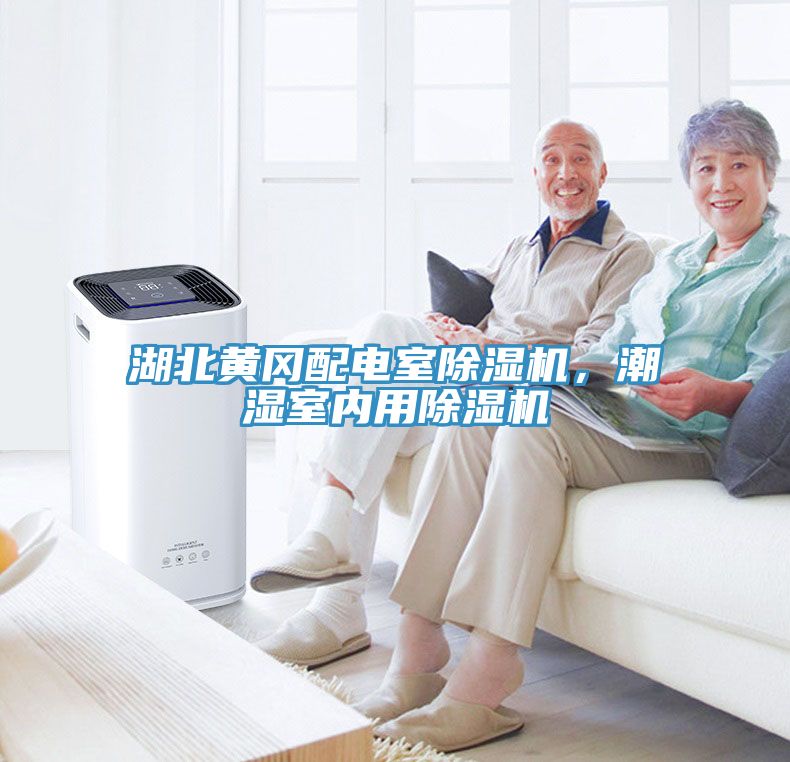 湖北黃岡配電室香蕉视频国产，潮濕室內用香蕉视频国产
