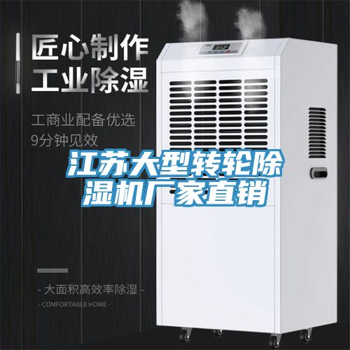 江蘇大型轉輪香蕉视频国产廠家直銷