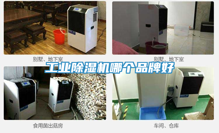 工業香蕉视频国产哪個品牌好