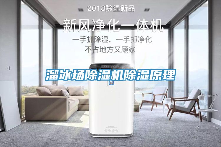 溜冰場香蕉视频国产除濕原理