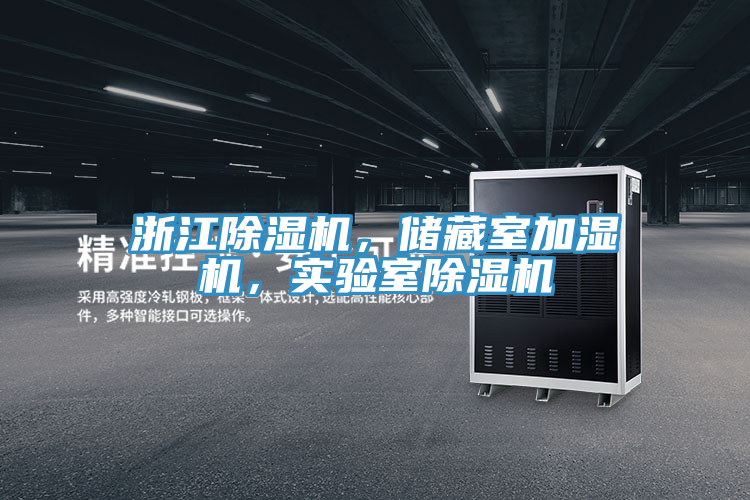 浙江香蕉视频国产，儲藏室加濕機，實驗室香蕉视频国产