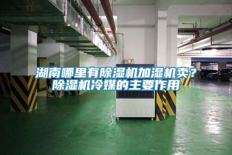 湖南哪裏有香蕉视频国产加濕機賣？香蕉视频国产冷媒的主要作用