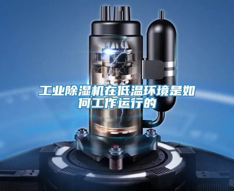工業香蕉视频国产在低溫環境是如何工作運行的