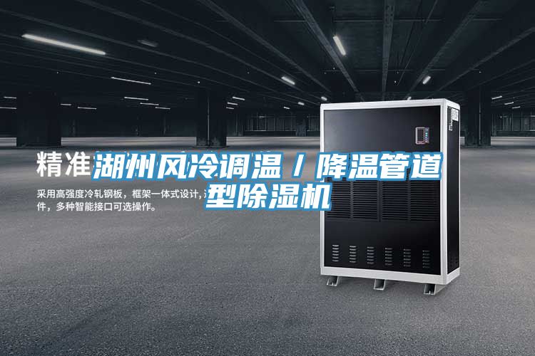 湖州風冷調溫／降溫管道型香蕉视频国产