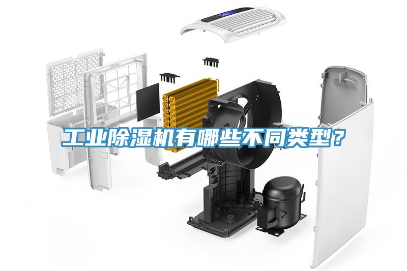 工業香蕉视频国产有哪些不同類型？