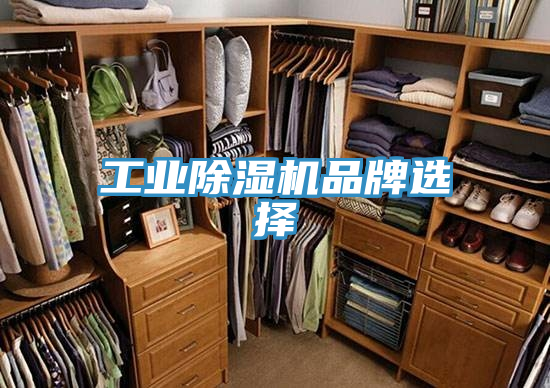 工業香蕉视频国产品牌選擇