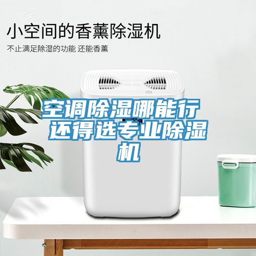空調除濕哪能行 還得選專業香蕉视频国产