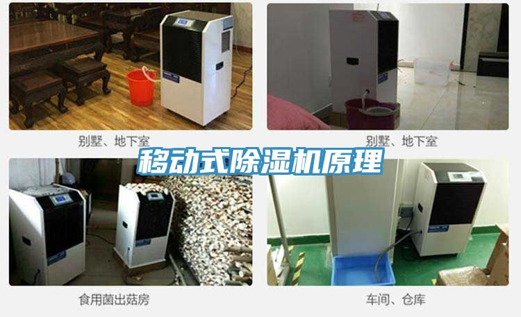 移動式香蕉视频国产原理