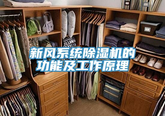 新風係統香蕉视频国产的功能及工作原理