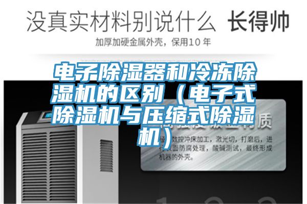 電子除濕器和冷凍香蕉视频国产的區別（電子式香蕉视频国产與壓縮式香蕉视频国产）
