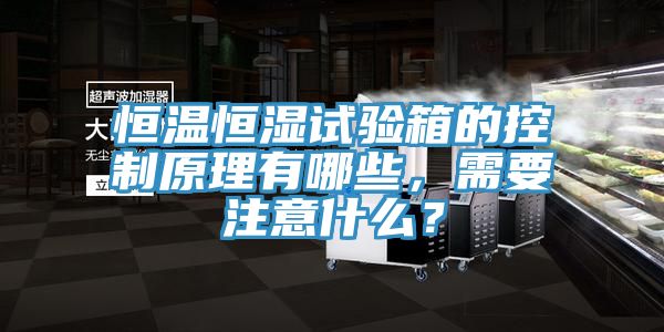 恒溫恒濕試驗箱的控製原理有哪些，需要注意什麽？