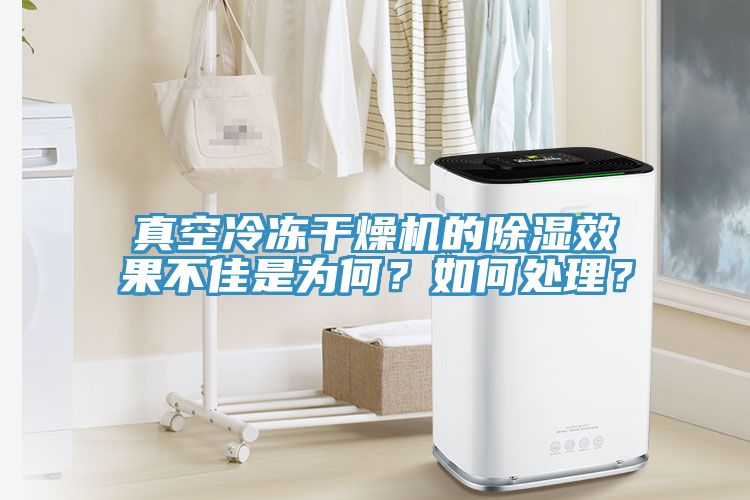 真空冷凍幹燥機的除濕效果不佳是為何？如何處理？