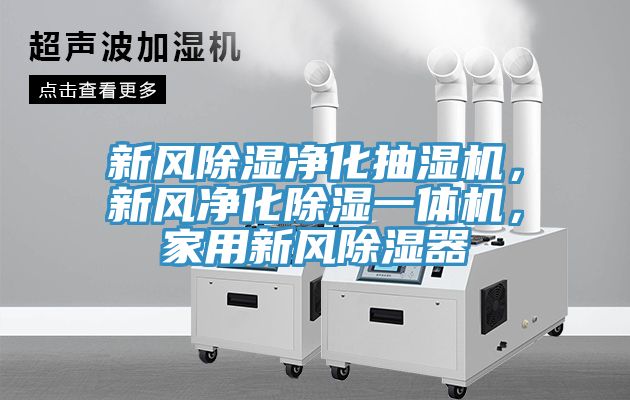 新風除濕淨化抽濕機，新風淨化除濕一體機，家用新風除濕器