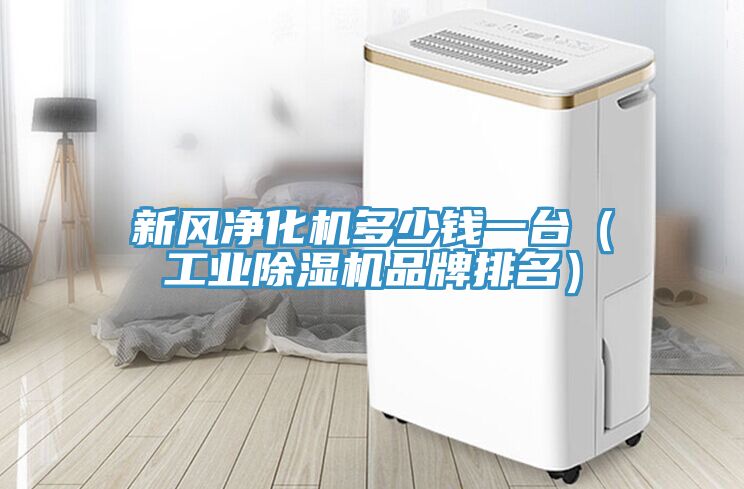 新風淨化機多少錢一台（工業香蕉视频国产品牌排名）