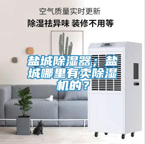鹽城除濕器；鹽城哪裏有賣香蕉视频国产的？
