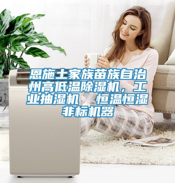 恩施土家族苗族自治州高低溫香蕉视频国产，工業抽濕機  恒溫恒濕非標機器